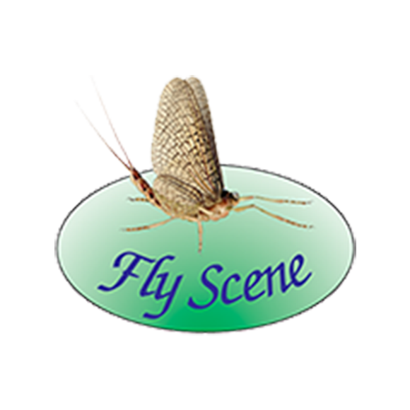 Fly Scene